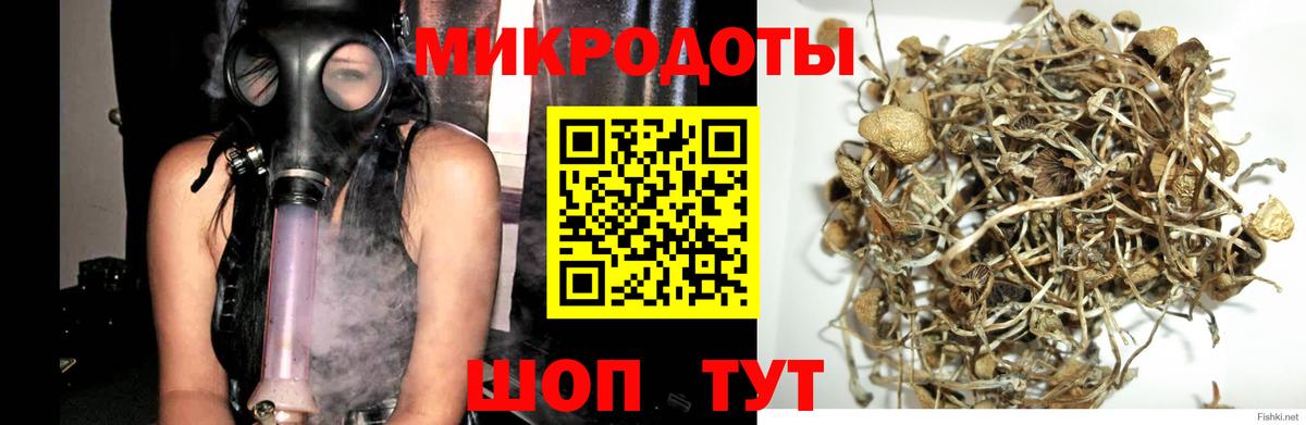 Солнечногорск  Псилоцибиновые грибы мухоморы  Вход с VPN 